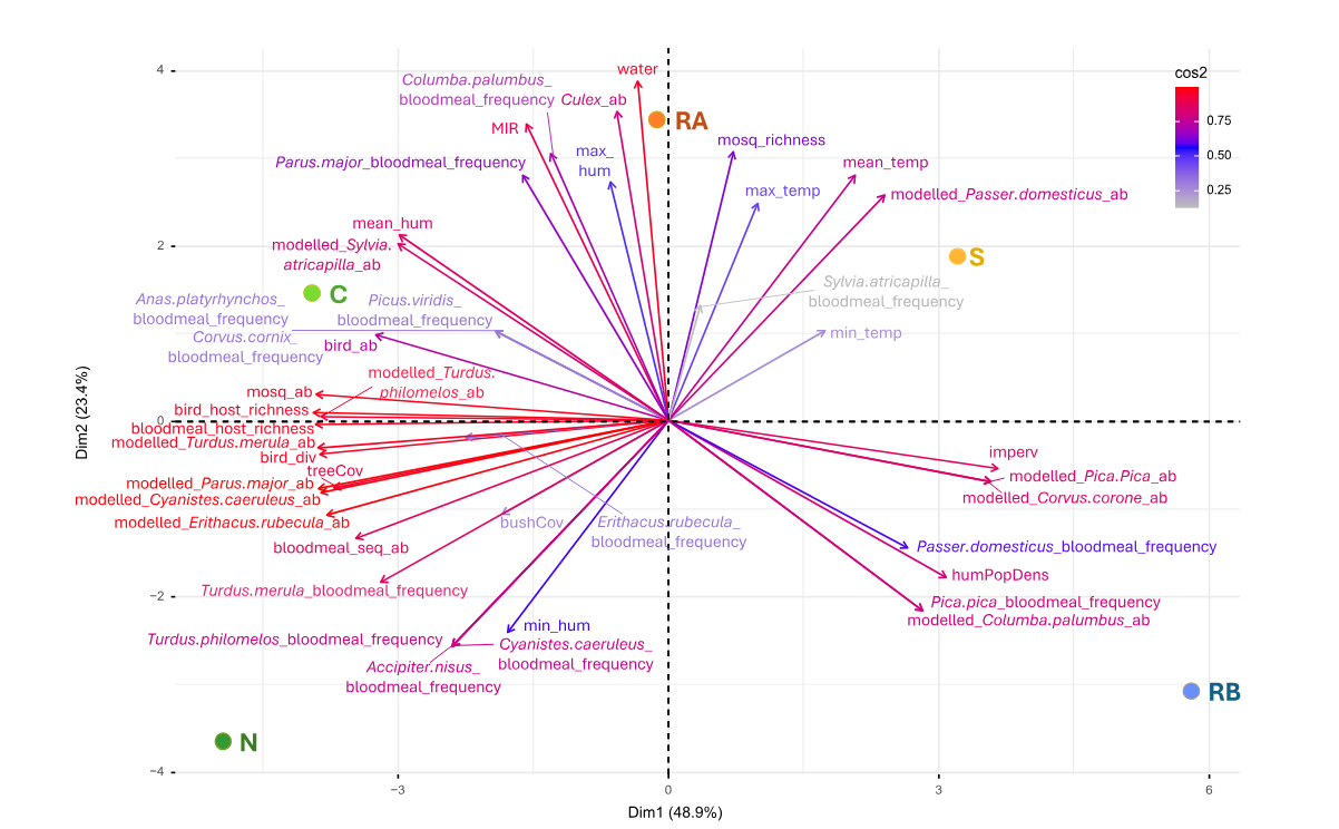 Figure 7 of Patzina-Mehling et al. 2026: The biplot of the PCA linked mosquito MIR to the abundances of the bird species based on bloodmeal host frequency in the field sampling and bird species abundance (based on a spatial model), as well as with spatial characteristics of the sites (tree cover, imperviousness, presence of water, human density). Modelled positions of the study sites in the biplot are marked by coloured dots. Source data are provided in the Source Data file. MIR minimum infection rate, mosq mosquito, ab abundance, hum humidity, Cov coverage, div diversity, imperv imperviousness, humPopDens human population density, seq sequence, temp temperature.