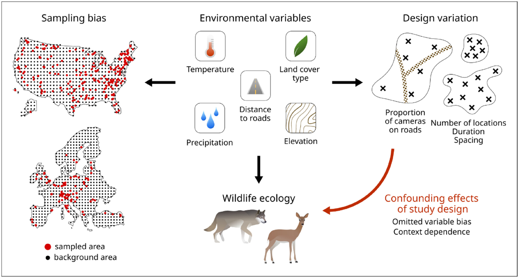 Figure 1 of Sollmann et al. 2026: Conceptual overview of the present study. We investigate the influence of environmental variables on sampling bias and variation in study design in Snapshot USA and Snapshot Europe data, and test whether variation in design affects inference about wildlife ecology.