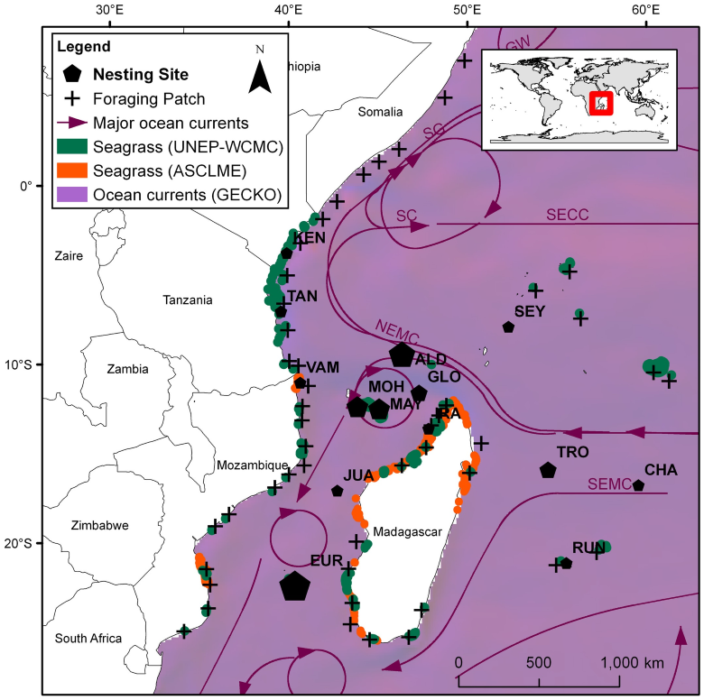 Figure 2 of Dalleau et al. 2019: Overview of the SWIO landscape (eastern coast of the African continent with Madagascar shown central in the map) with black pentagons represent nesting sites.