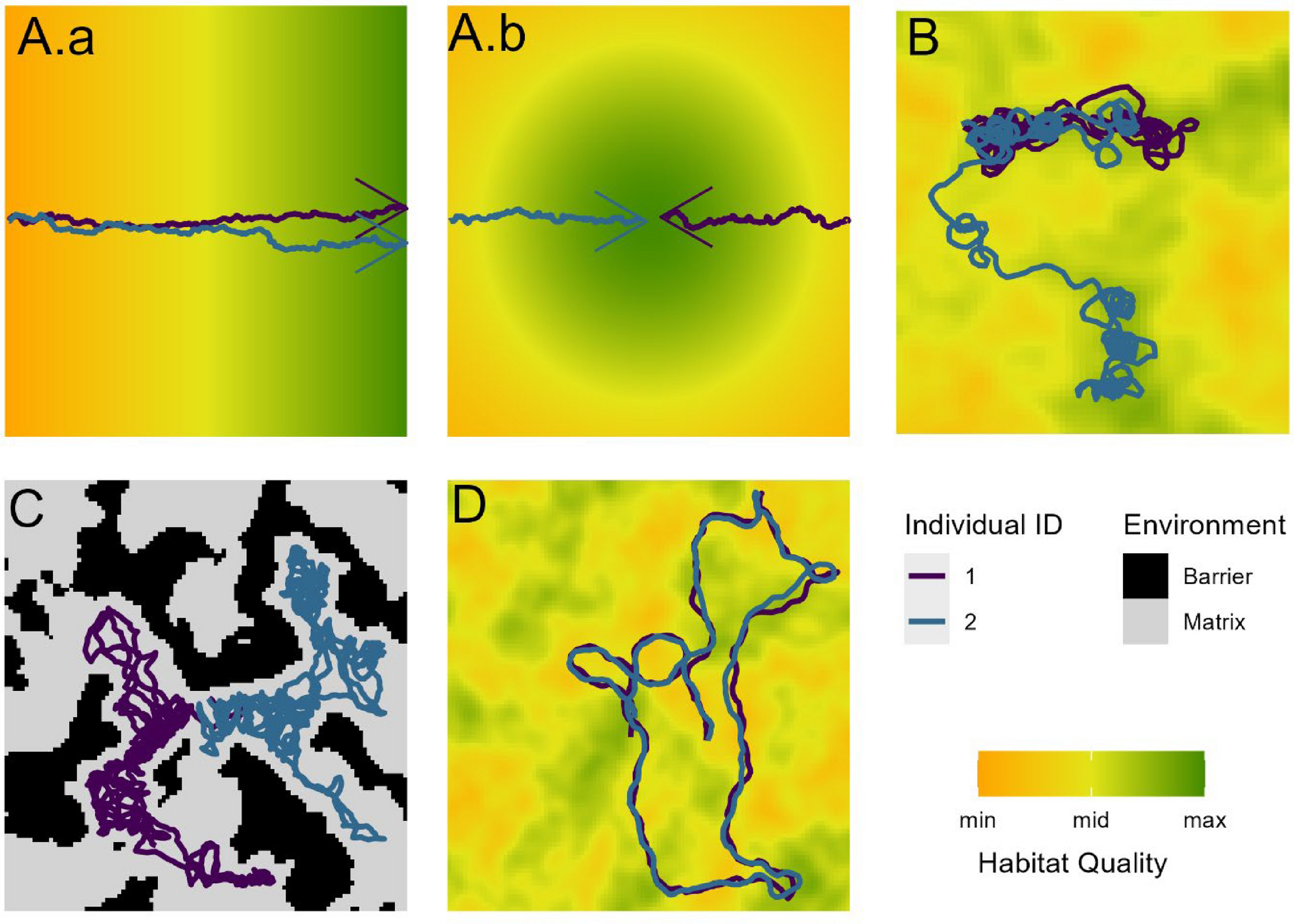 Figure 1 of Fronville et al. 2025: Schematic representation of the four scenarios: Panels A–C show correlated movements of two individuals caused by habitat quality and barriers (no social interaction). A.a moving next to each other along a linear resource gradient, A.b moving from opposite initial locations towards the resource in the centre. B moving in a realistic landscape where resources are clustered in space. C Movement in a homogeneous matrix with barriers randomly scattered in the landscape blocking the movement of individuals. In Panel D the two individuals are attracted to each other and move as a group in the landscape, irrespective of habitat quality or other features. The violet and blue arrows depict the movement path of two individuals, the direction shown by the arrow. In panel A, B and D each grid cell reflects habitat quality that ranges from zero (orange) to one (green). Panel C shows the matrix in grey and the barriers, which are avoided by the individuals, in black.