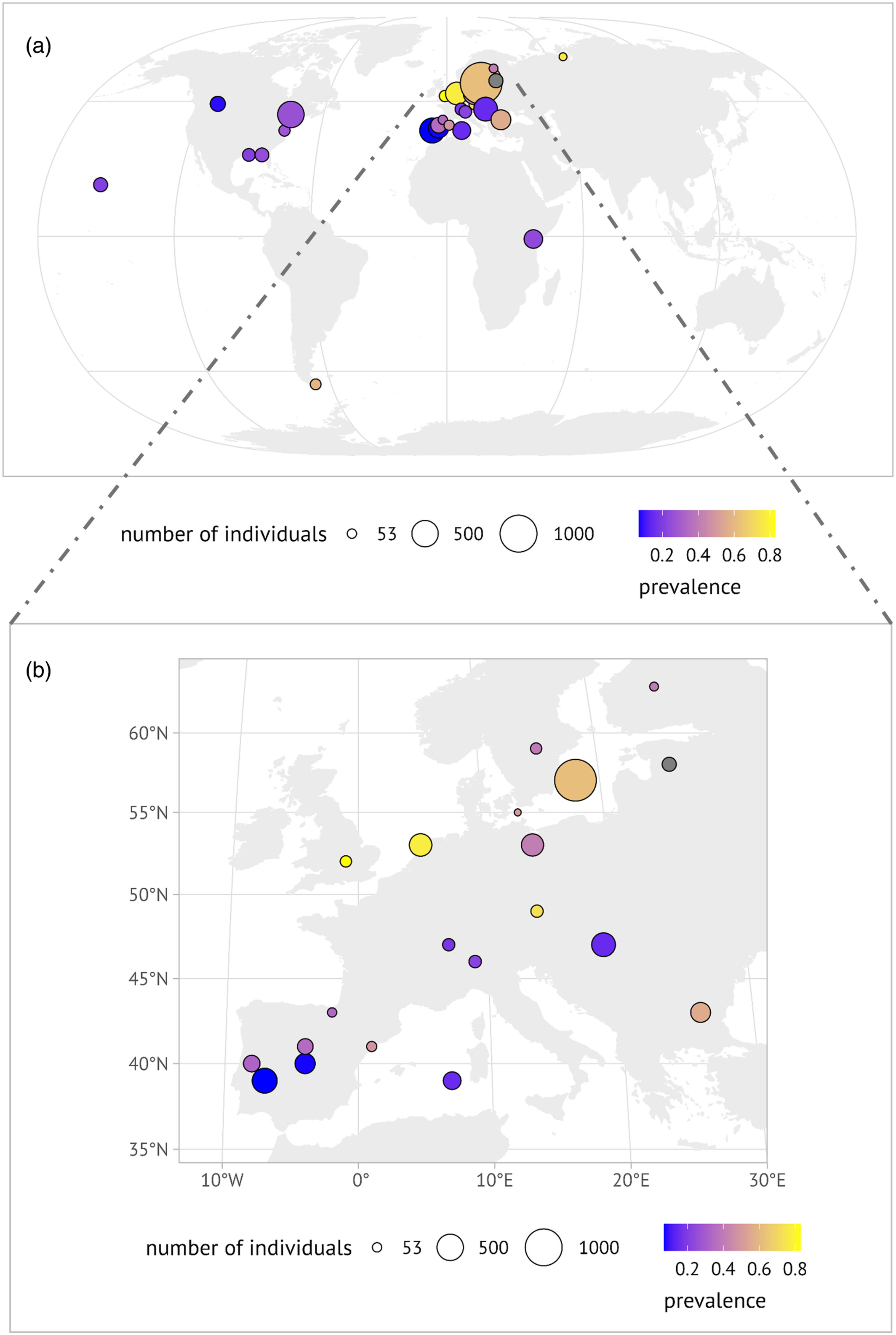 Figure 2 of Grabow et al. 2025: Overview map of included studies. Upper panel (a): Study locations (per reference) with included effect sizes. Point sizes indicate the number of individuals included in analyses; colour gradient shows the overall infection prevalence reported in the study. Lower panel (b): Study locations in Europe, with point sizes indicating the number of individuals included in analyses; colour gradient shows the overall infection prevalence reported in the study.