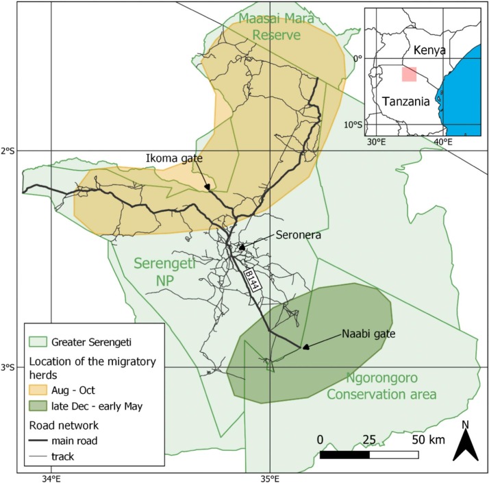 Fig. 1. The Serengeti Ecosystem. The broad location of the migratory herds between August and October (yellow) and between late December and early May (green) is provided (Hopcraft et al., 2015). The road network of the Serengeti NP is shown in black. Thick lines represent the main ‘murram’ roads; thin lines represent the tracks used by game-viewing vehicles and vehicles supplying lodges and campsites. (For interpretation of the references to colour in this figure legend, the reader is referred to the web version of this article.)