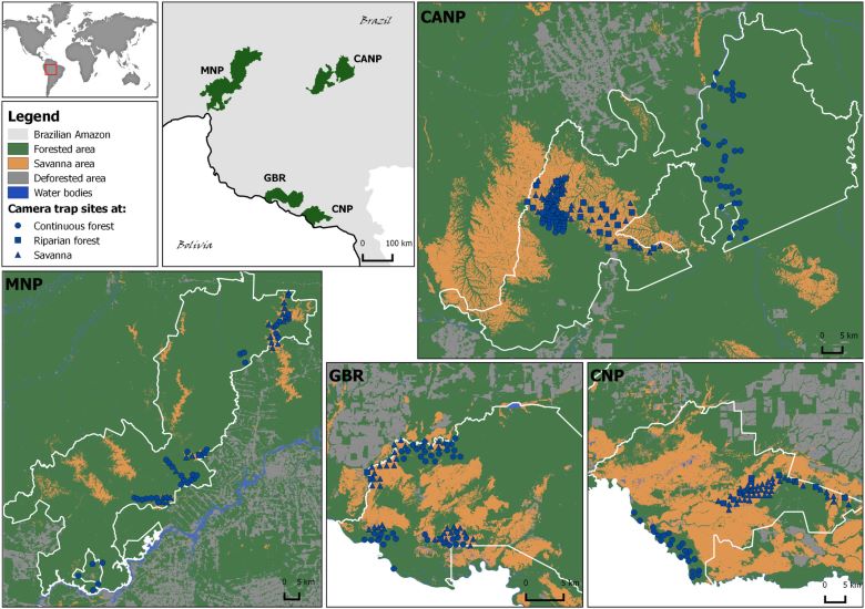 Figure 1 of Rocha and Sollmann 2023: Map of the study region in the southern Brazilian Amazon with camera-trap locations, land cover features and surveyed protected areas (CANP, Campos Amazônicos National Park; MNP, Mapinguari National Park GBR; Guaporé Biological Reserve and CSP; Corumbiara State Park). As there were two surveys at CANP, camera-trap locations of the second survey are in light blue.