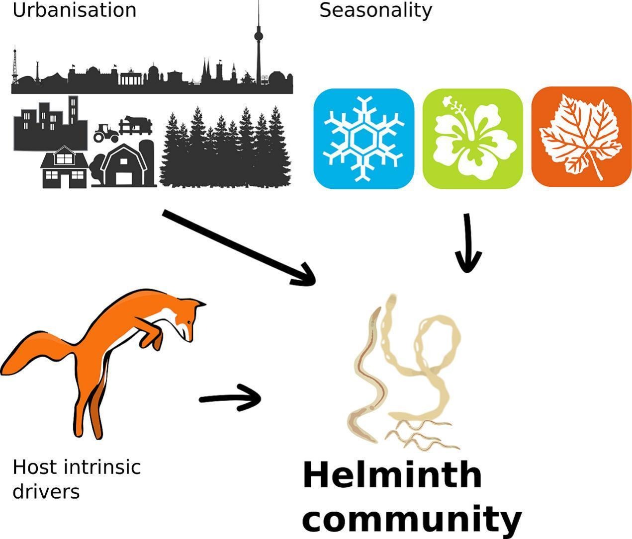 Figure 1 of Scholz 2024: <Graphical Abstract.