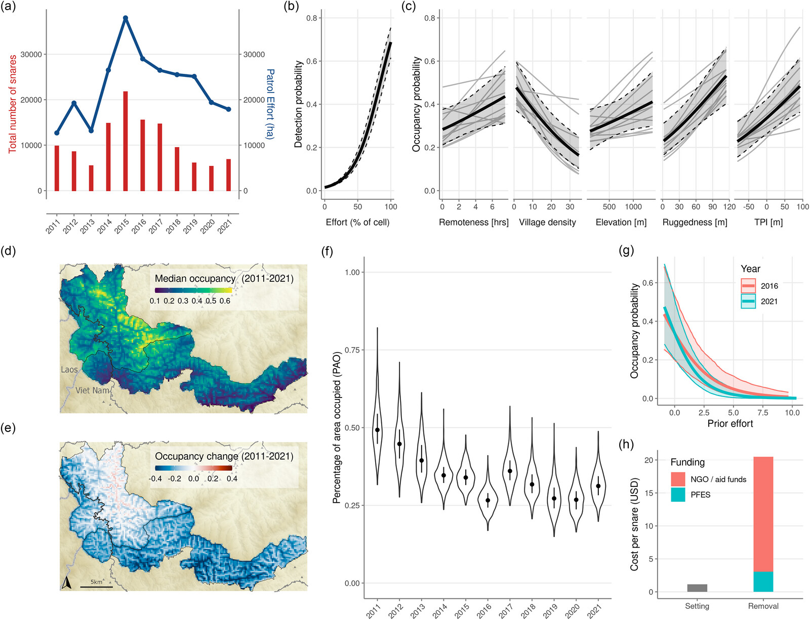 Figure 1 of Tilker et al. 2024: (a) Total number of snares removed by Forest Guards (blue line) and patrol effort in ha (red line); (b) response of snare detection probability to survey effort; (c) response of snare occupancy probability to covariates; thick black line shows mean effect for all years, gray shaded area show 95% confidence intervals (b and c), and light gray lines show mean effect for individual years (c only); (d) median snare occupancy probability for survey period (2011–2021); (e) median change in snare occupancy probability across the survey period; (f) percentage of area occupied (PAO) values for individual years; black dot indicates median and line indicates 50% posterior mass; based on predictions from multi-season occupancy model (d–f); (g) response of snare occupancy to prior patrol effort for two time periods, 2016 and 2021; and (h) cost of setting and removing an individual snare in the study areas, with removal cost divided by Payment for Forest Ecosystem Services and NGO aid funds.